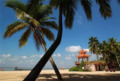 一哥酸菜鱼加盟后有没有风险保障