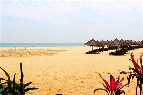 莎式茶语加盟店在通榆县受欢迎吗，在通榆县开奶茶店加盟好还是自营好