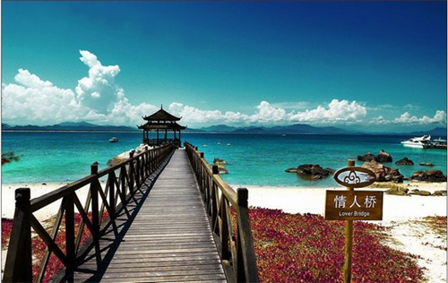 空调排行13（空调排行榜）