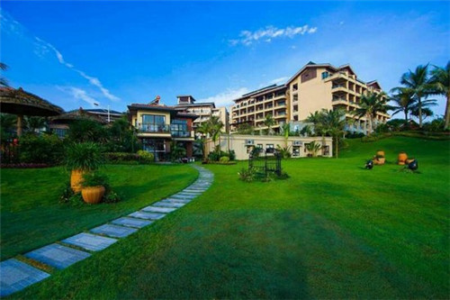 msi抖音可以直播吗（抖音可以直播玩英雄联盟吗）