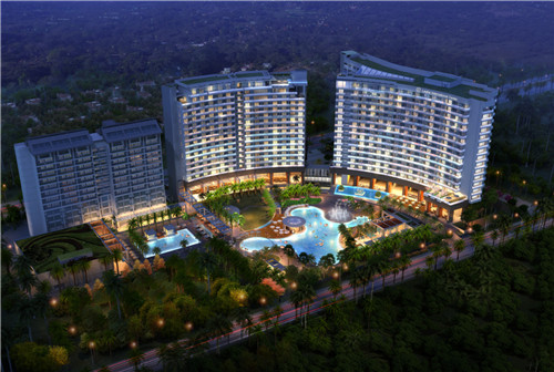 蓝如意茶杯品牌推荐（蓝如意三角梅图片）