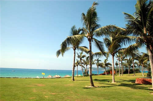 柯姓起名什么名字好（柯姓起名什么名字好听）